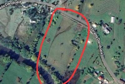 Teren 3.486 mp la drum Iacobeni (Dandoaia) CF + cadastru - 1