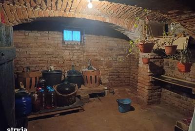 Casă cu 3 camere cu Teren 700 Mp în Turnișor - 4