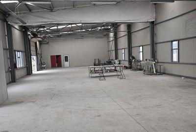 Spațiu comercial, de 437 mp, în Domnești - 9