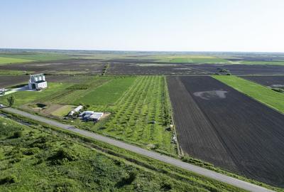 Livada de nuci ?i pruni 2.4ha in Varia?u Mare Livada de nuci ?i pruni 2.4ha in Varia?u Mare - 3