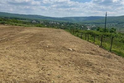 Teren Construcții intravilan de 650 mp, în Bârnova - 1