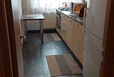 Apartament cu 2 camere semidecomandat, mobilat în Ozana - 5