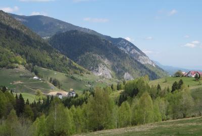 Vanzare 1266 mp teren superb Cheile Rasnoavei la munte langa padure si pensiuni - 10