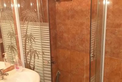 Dau in chirie casa in Cluj Napoca la 100 m de UMF IULIU HATIEGANU - 3