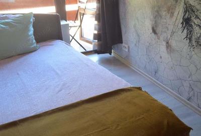 Apartament cu doua camere situat in Busteni - 6