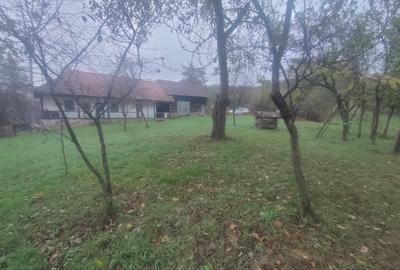 Casă individuală cu 2 camere cu Teren 1300 Mp în Dobroț - 14