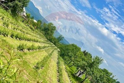 Teren 6,900mp Breb / Strada PRINCIPALA - 1