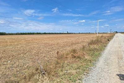 TEREN BUZAU , OCAZIE! - 1