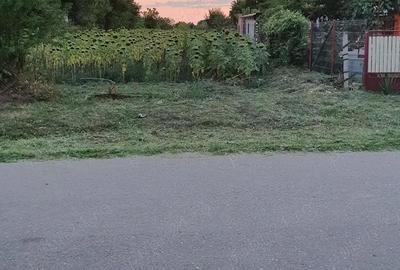 Teren de 2480 mp, în Merii Petchii - 3