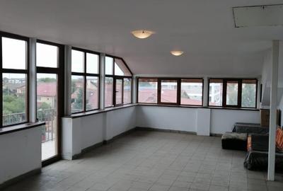 Vila PREMIUM cu 5 niveluri si curte spatioasa – Sector 5, Bucuresti - 11