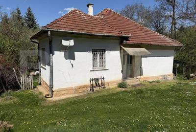 Casă cu 4 camere cu Teren 5000 Mp în Petrindu - 2