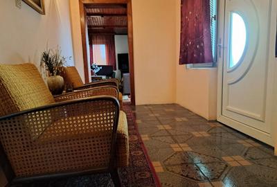 Casa mare cu 2 spatii comerciale, in Faget - 16