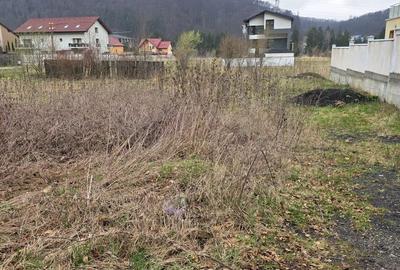 Spațiu comercial, în Bunloc - 7