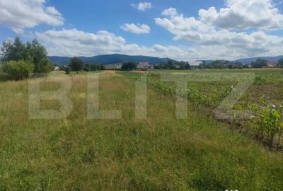 Teren de 6400 mp, în Vicovu de Sus - 1