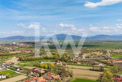 Spațiu comercial, în Lunca Calnicului - 16