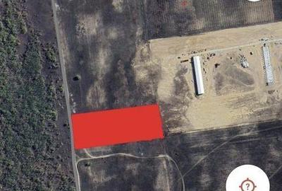 Teren de 8700 mp, în Ghindeni - 1