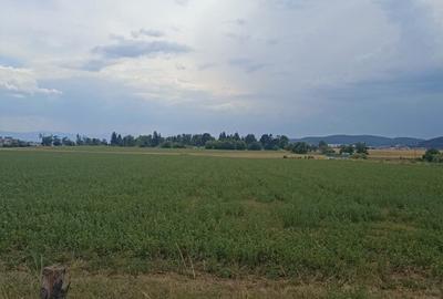 De vanzare terenuri extravilane in Sfantu Gheorghe - 6