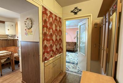 Apartament cu 2 camere semidecomandat în Carei - 7