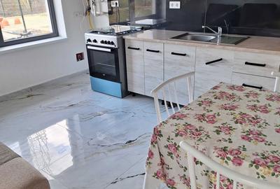 Casă cu 3 camere în Cetate - 3