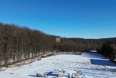 Teren în Dragomirna - 9