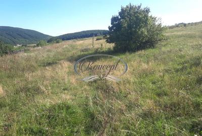 Teren cu autorizatie si utilitati in Salicea - 3