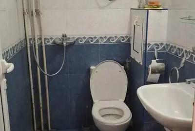 Apartament cu o camera in zona Gheorghe Lazar - 2