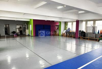 Calea Chisinaului, spatiu birouri 240mp, clasa A, disponibil imediat - 3