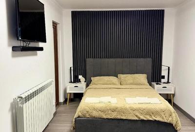 Garsonieră decomandată în Central - 1