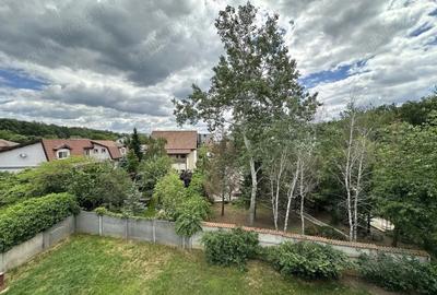 Vila Mogosoaia la padure si DN. - 6