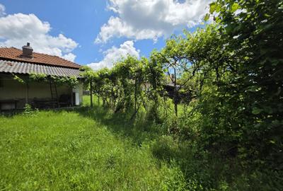 Casă cu 3 camere în Călinești - 2