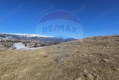 Teren de 1924 mp, în Șirnea - 5