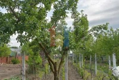 Teren de 950 mp, în Chiscani - 5