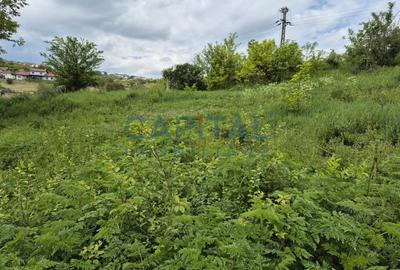 Teren extravilan 11 600mp, Dezmir - 2