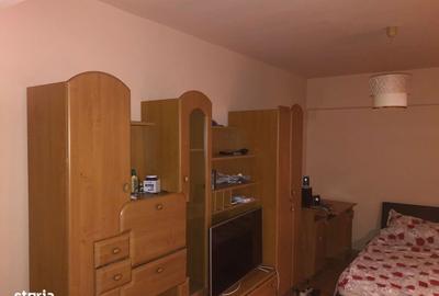 Garsonieră în Lăpuș Argeș - 4