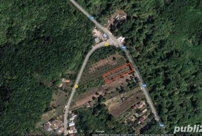 Teren de 1679 mp, în Băbana - 4