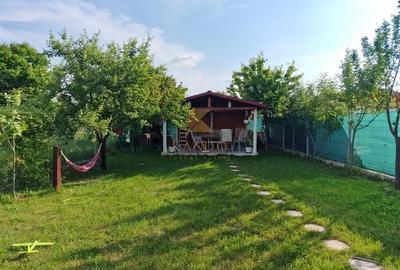 Oaza ta de liniste intre padure si lac I Mogosoaia Oaza ta de liniste intre padure si lac I Mogosoaia - 37