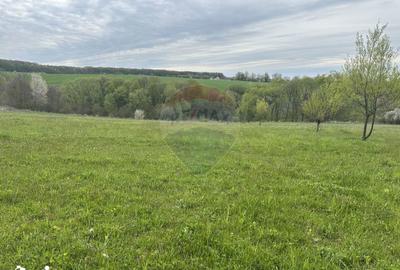 Teren de 3000 mp, în Bodești - 2