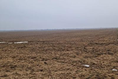 Spațiu comercial, în Malu Mare - 2