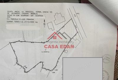 Casă cu Teren 3999 Mp în Scorțeni - 5