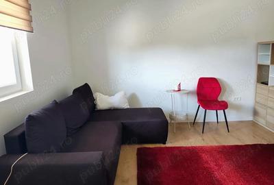 Apartament cu 2 camere semidecomandat în Tunari - 10