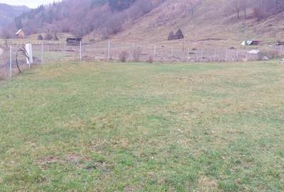 Casă de vacanță la munte – liniște totală, fără vecini - 4