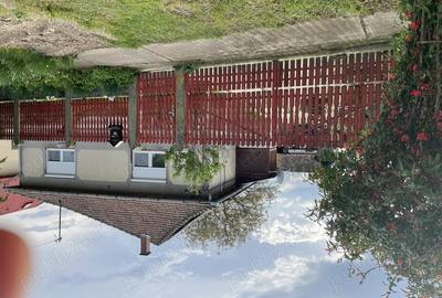 Case Mare de Vanzare cu 3 Camere - 1