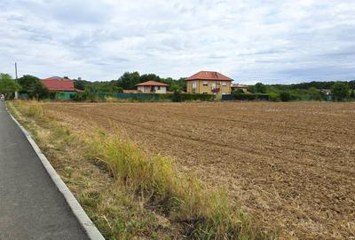 The Forest Collection -LOT 970mp- Strada asfaltata | Padurea Snagov -Ciofliceni - 4