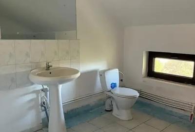 Locuinta si afacere in acelasi loc ! - 28