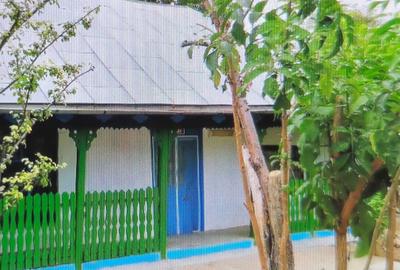 Casă cu 3 camere în Gurbănești - 5