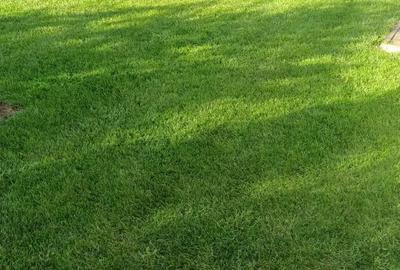 Casa de vanzare, Strejnicu, jud. Prahova - 7