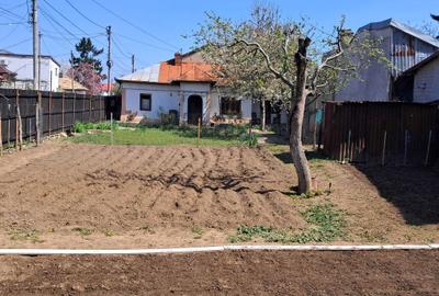 Casă cu 3 camere în Central - 5