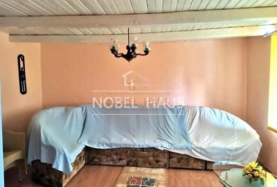 Casă cu 2 camere cu Teren 5500 Mp în Cârja - 4