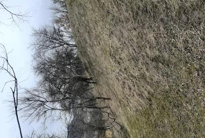 Casă în Central - 8