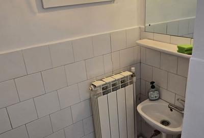 Spațiu comercial, de 22 mp, în Giurgiului - 4